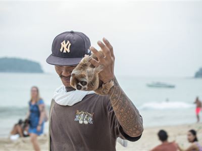 Outloňˇ nabízeny´ pro pobaveni´ turistům na Kata Beach v Phuketu